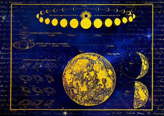 Best Astrologer in Richmond Hill